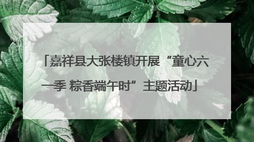 嘉祥县大张楼镇开展“童心六一季 粽香端午时”主题活动